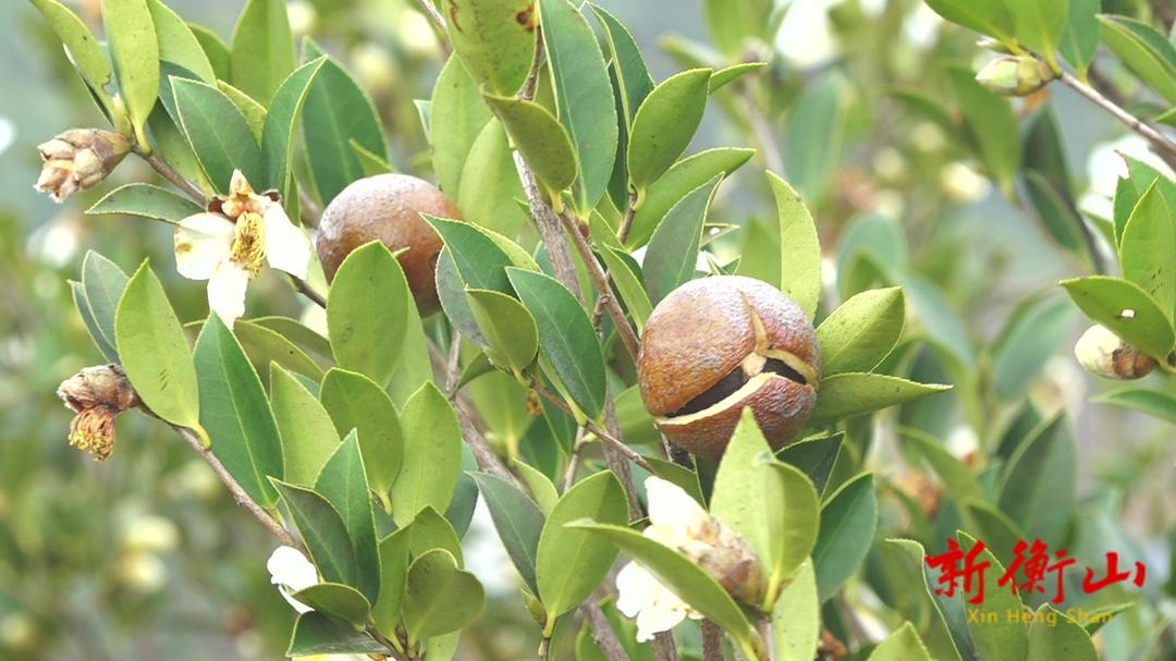 ff6df9d6610c8e756a26b17353bf14bed8abebb71669865469877