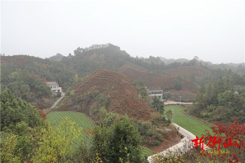 ce65e96d0def560a150bf605038215a2a77b33391669865880192