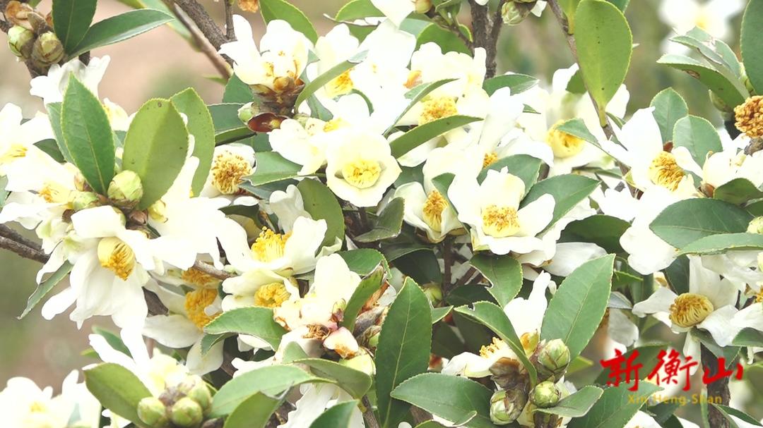 7f3e64122dc7721c9f1f5cc58382fb5a401b70141669865468800