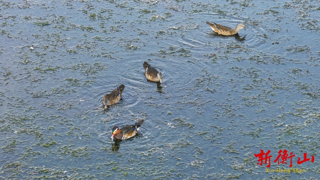 1c089e2e-e047-4cef-b79d-def0714666d1