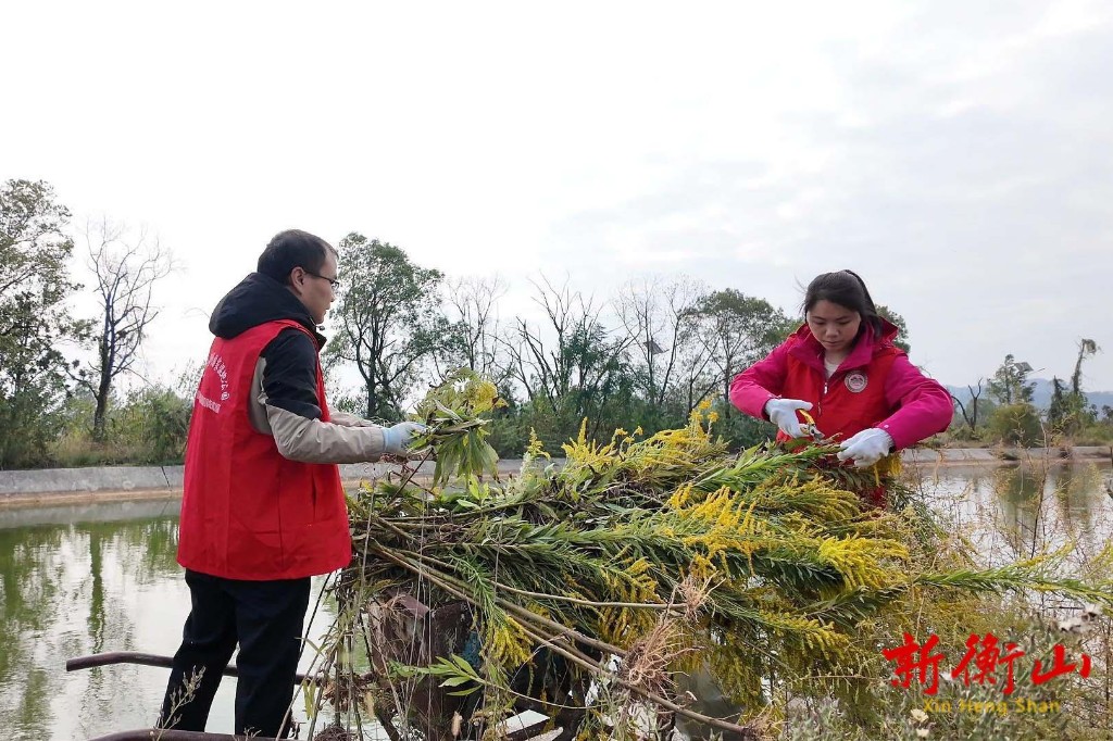 c75badb8087e72d3c2b7cfb1c0c7c4b3f9360eaf1761610758017