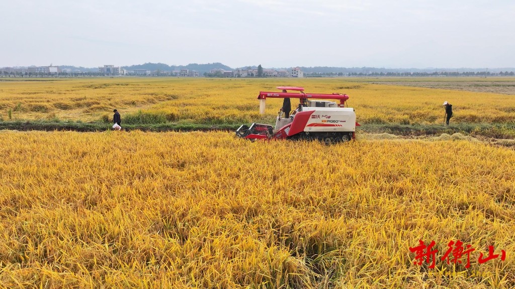 d085ba82828ffff6416f7000b6628a2340a77f3e1761811444567