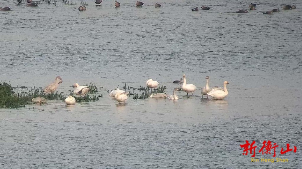 ffd9511deb3d140876d241263018c46fc702f90f1764206238241