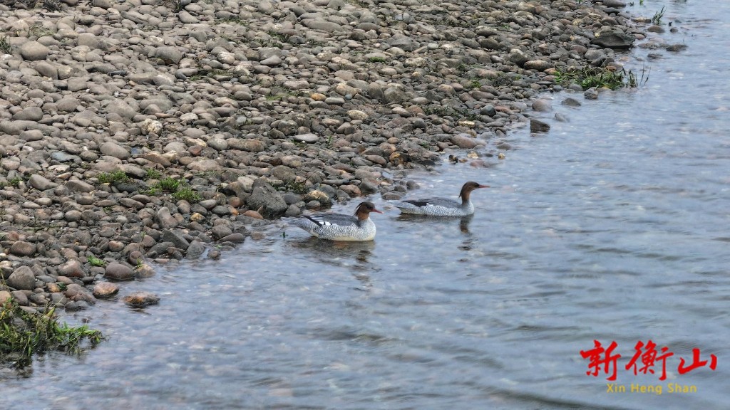 62140ef15fbbcde3d22818e8614b940d29878f2f1764206267286