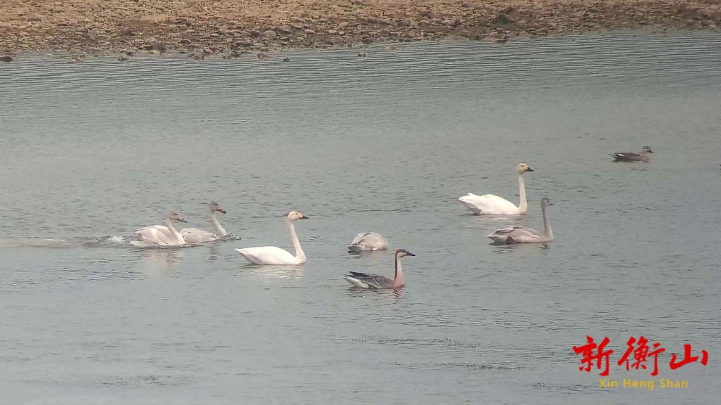 1ad120b2101a193d3e4024c8463ed31dad406bd91764206289888