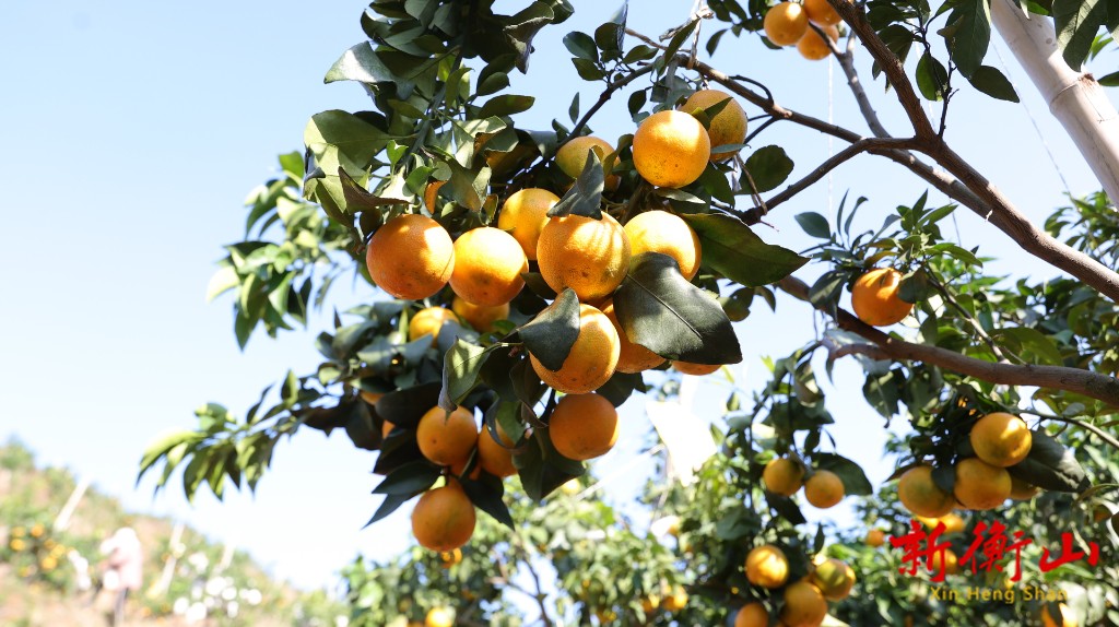 c261a598-72ce-463c-a4c2-40a05bb05716