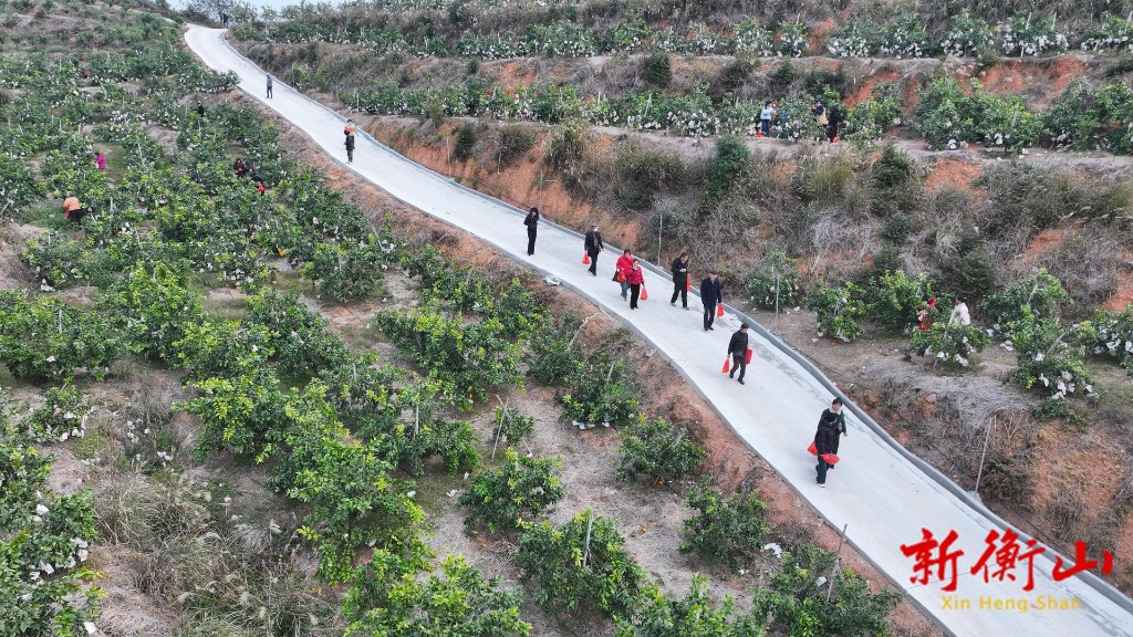 722cd742-0d26-4380-b292-7639a72888a8