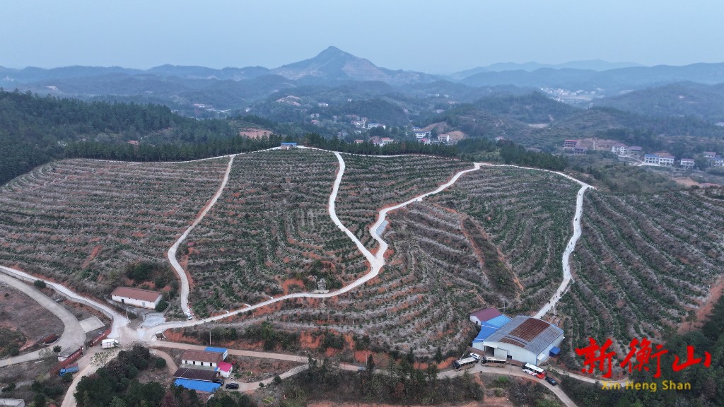 6fca69e7-c666-45d9-867a-80b8ba2bec00