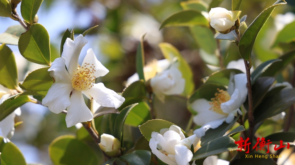 fff3f90d-2b7a-4e49-ae40-deb856b34c33