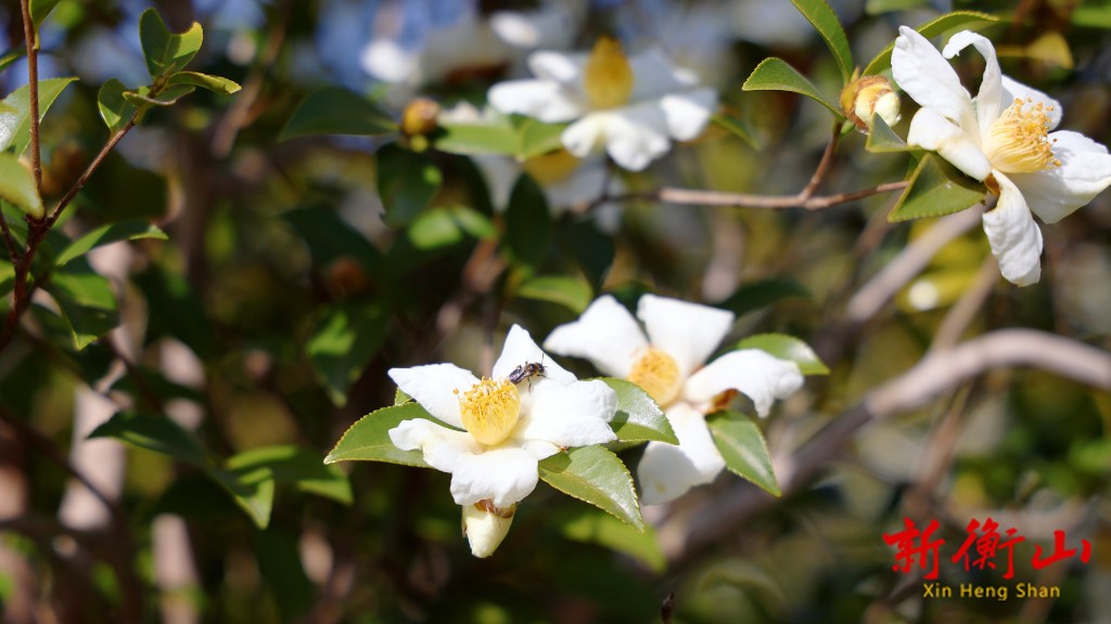 e07ea3aa-2b05-4b07-b7a8-3d8129a3c5d4