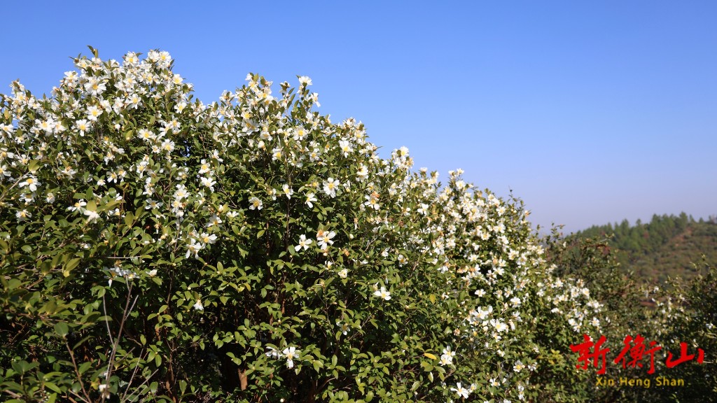 390cffe4-2611-47ab-9e72-ec38dda96806