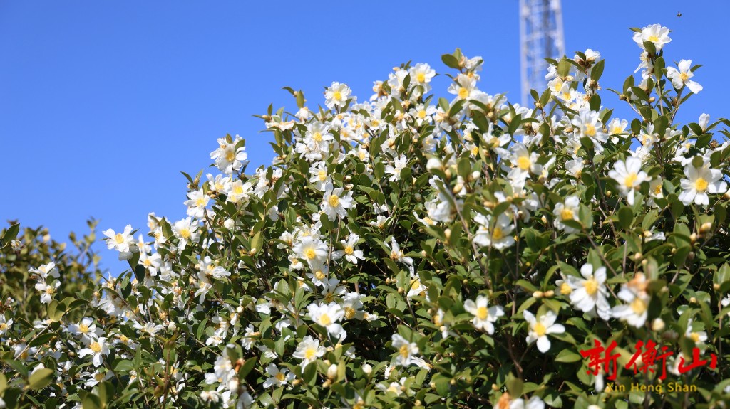 2ac185d4-8c1c-4daf-abbe-c482b6faf7ea