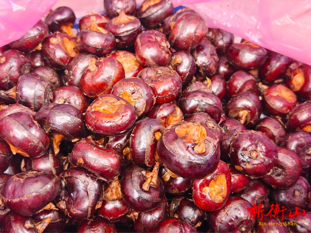 0a994b894658d4f14d1848bd9c177defc47729d01765947410840