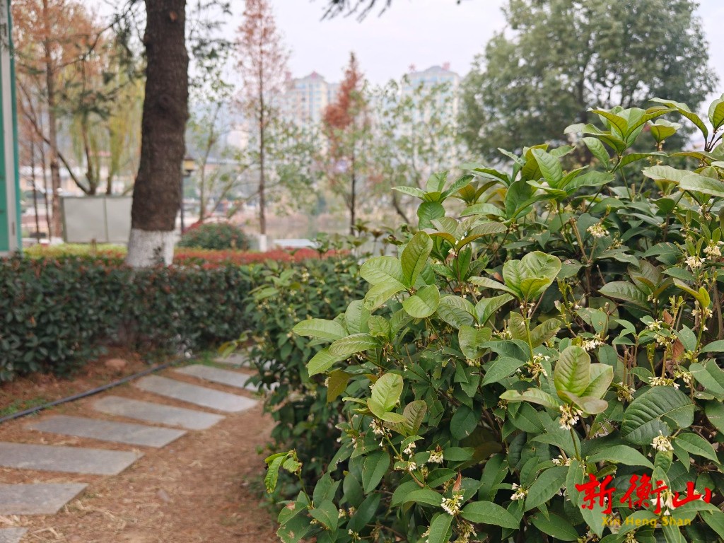 f4236a3eaa2dd2a3bddd2f9e742c8097d91f6dd71766026203762