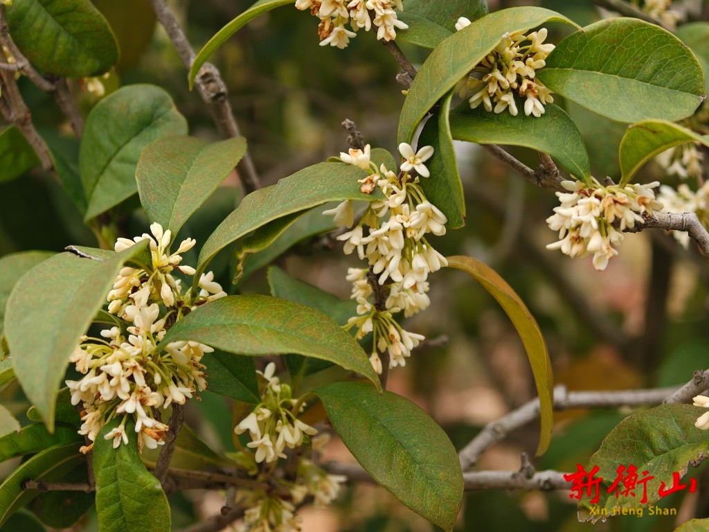 a350450e71e833c15da58eaee3ec7100cccf0c511766026183946