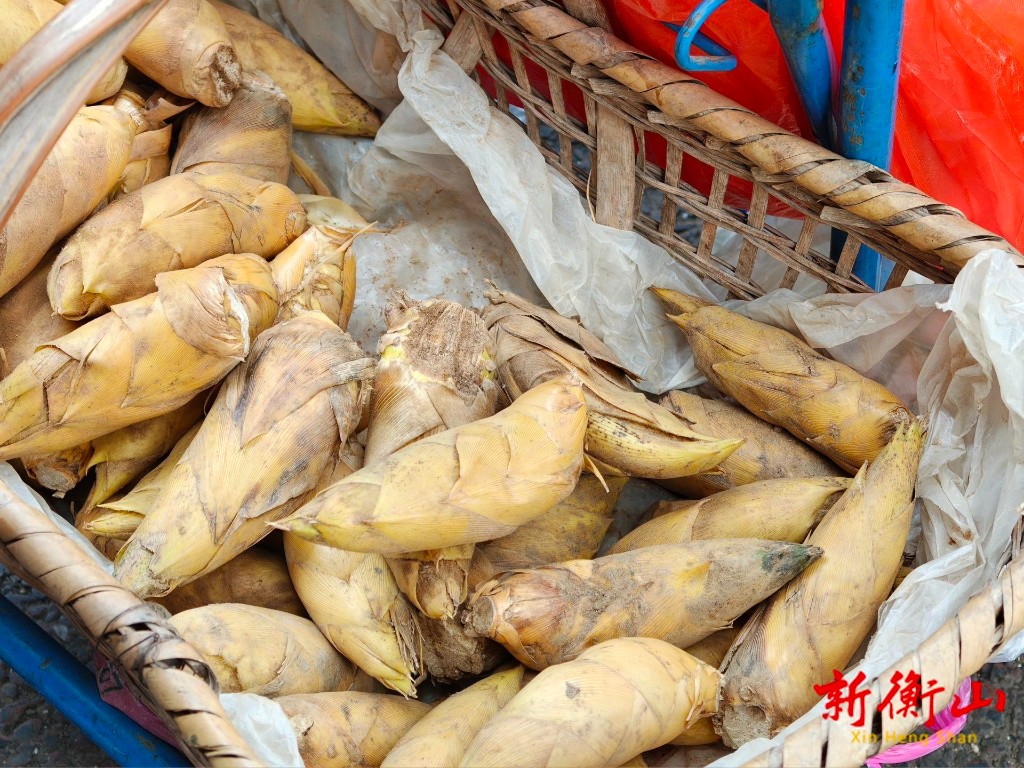 ec4b05337df338ae112779f9375e2d31fd64714a1767149689109