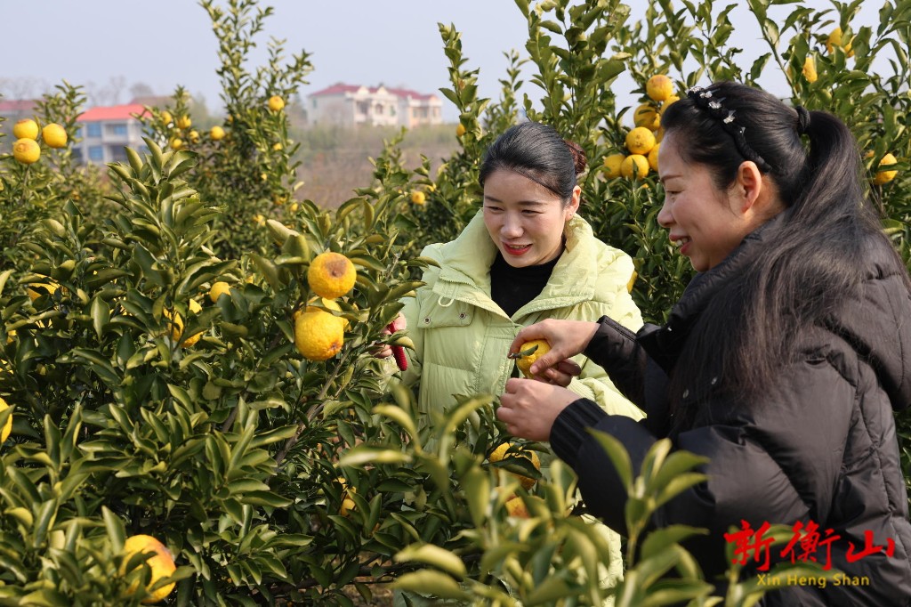 6ddd67291cb34341559dd69810a3d5cbafd702271767795267768