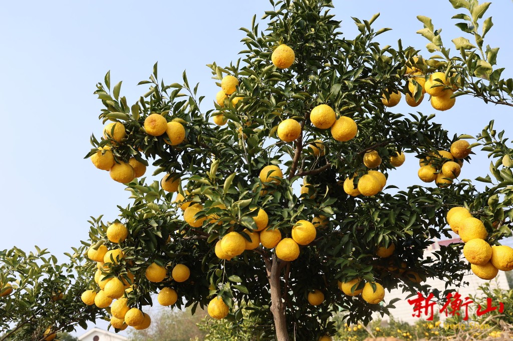 60038e7de46652f7aa5f7a8b7bfece8aebfe9ebe1767795237009