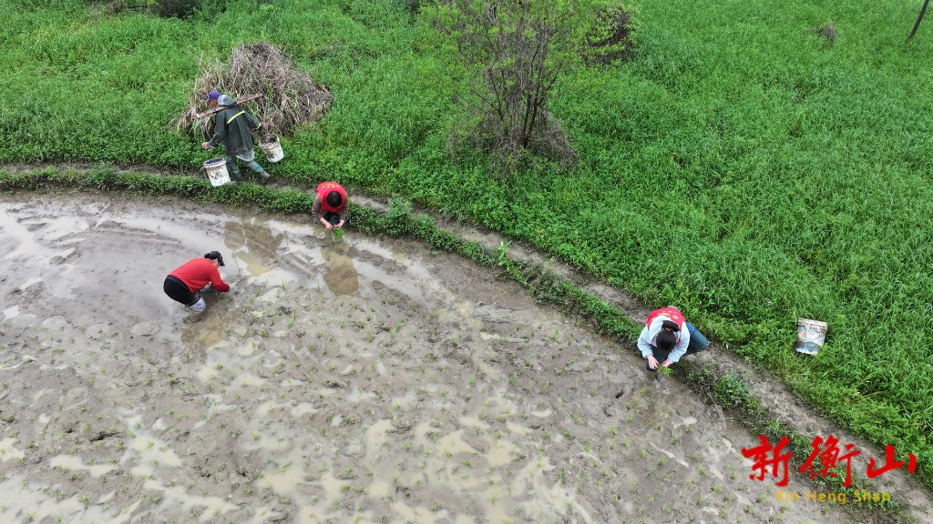 da1086ec-e77c-4e53-aa05-230104e8887b