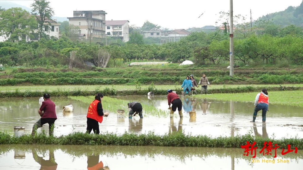 239b2be8-a10f-4f1f-b355-14df4d6c4814