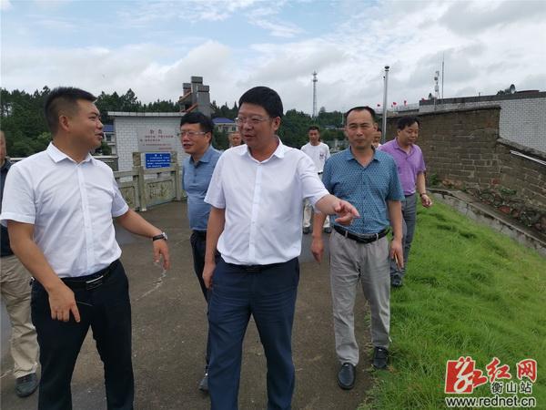 蒋青深入部分乡镇督查指导防汛工作