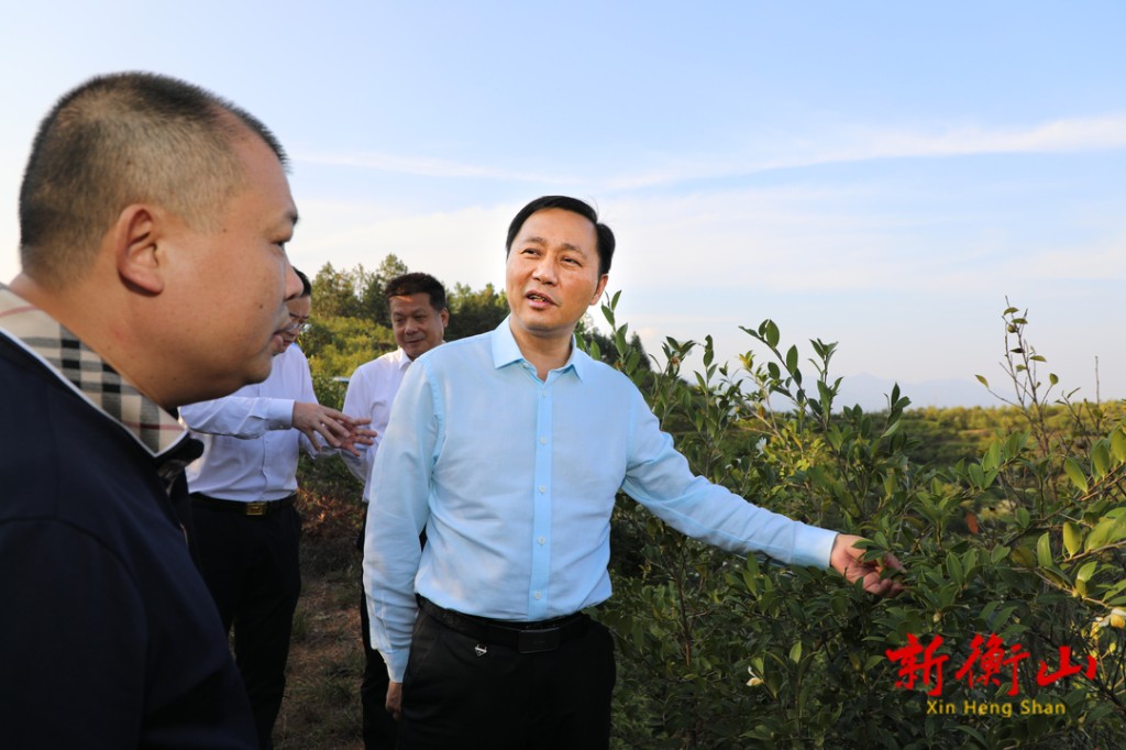 戴新贤开展巡林并调研油茶产业发展工作