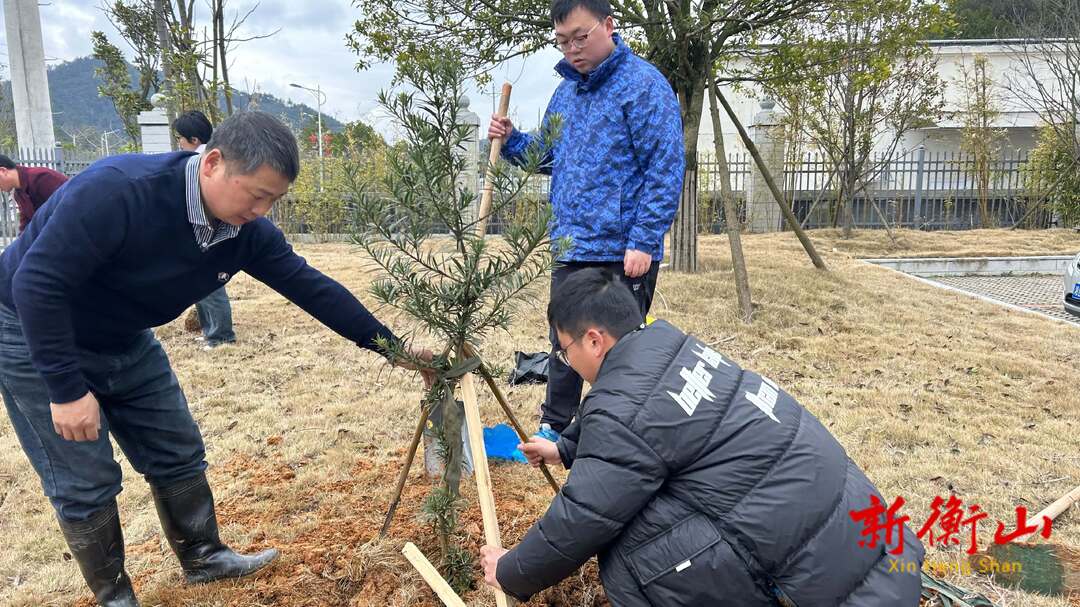 县疾控中心植下一棵树收获万点绿