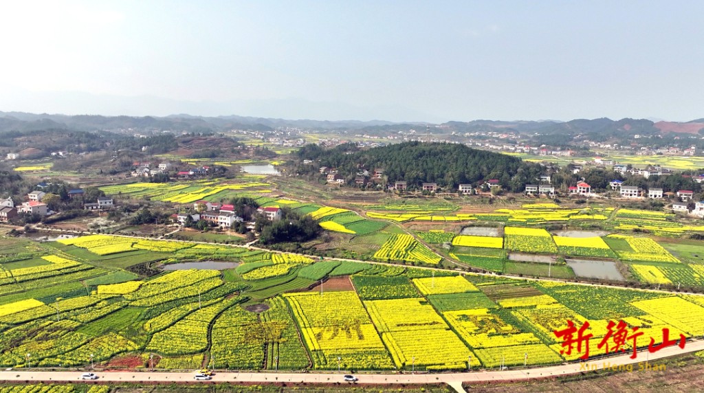 萱洲镇:繁花尽染 春色迷人-衡山县人民政府门户网站