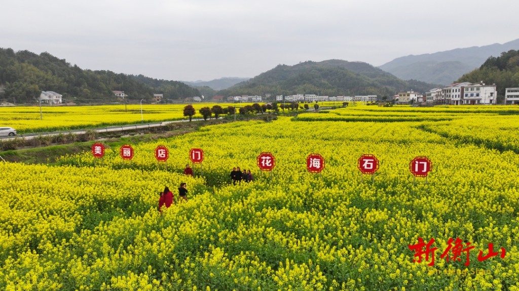 衡山:七彩油菜花为乡村旅游"添彩"-衡山县人民政府门户网站