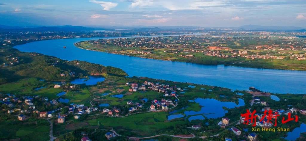 衡山萱洲国家湿地公园:爱鸟护鸟,共筑绿色之梦-衡山县人民政府门户