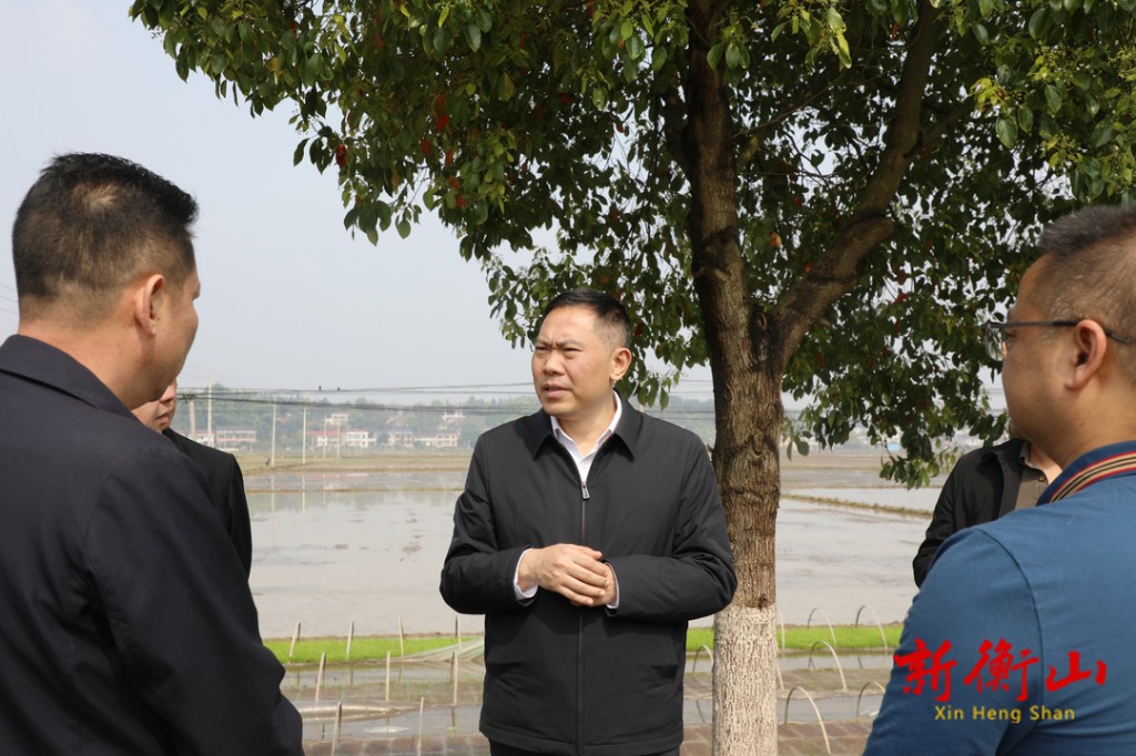 段晓赛督导春耕生产和农村人居环境整治等工作