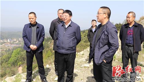 蒋青督导矿山治理复绿工作-衡山县人民政府门户网站